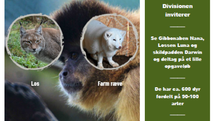 Odsherred Rescue Zoo